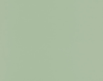 [200111122_76] Taralay Impression Compact - 1082 Uni Matt Light Green
